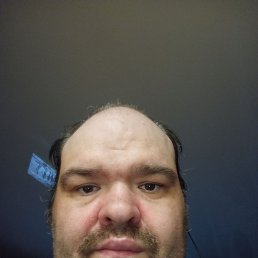 ����, 42 ����, ���������