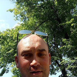 , 36, 