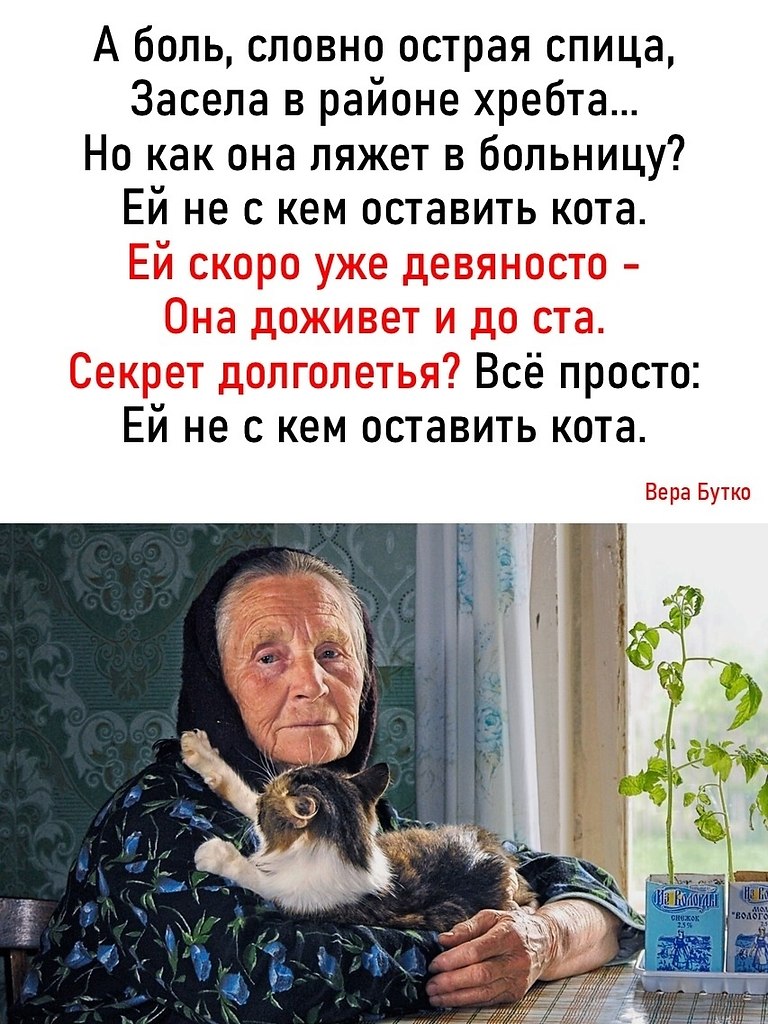 �� �� � ��� �������� ���� - 3