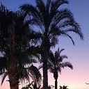 ���� ���������, ������, 51 ��� - ��������� 10 ������� 2025 � ������ ���� ����������