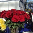 ���� ������, ������ - ��������� 6 ������ 2025 � ������ ���� ����������