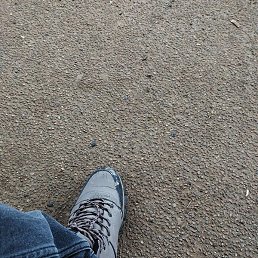 �����, ������, 43 ����