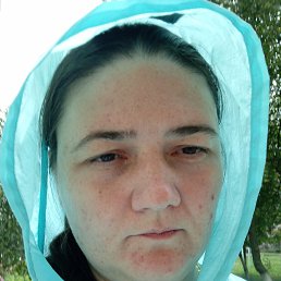 , 38, 