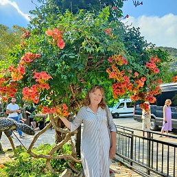 �����, ���������, 56 ���