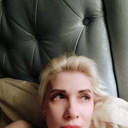 ���� �������, ������ ��������, 41 ��� - ��������� 13 ������ 2026