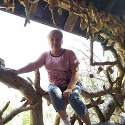 �������, �������, 72 ����