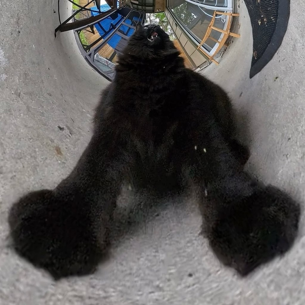 Кто-то осмелится поспорить, что это не самые крутые фотки в интернете? Только попробуйте - 3