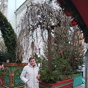 ���� ���������, �������, 61 ��� - ��������� 29 ������ 2025 � ������ ���� ����������