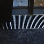 �����, 37 ���, ������