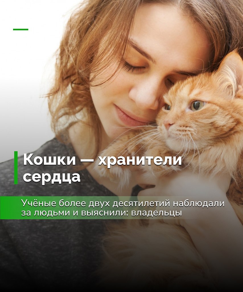 Держать кошку — это не просто мило, а ещё и полезно для сердца. Пожалуй, лучший антистресс — тот, ...