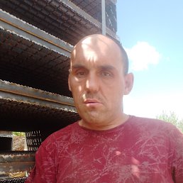 , 40 , 