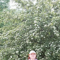 ���� �����, ����������, 56 ��� - ��������� 22 ������ 2025