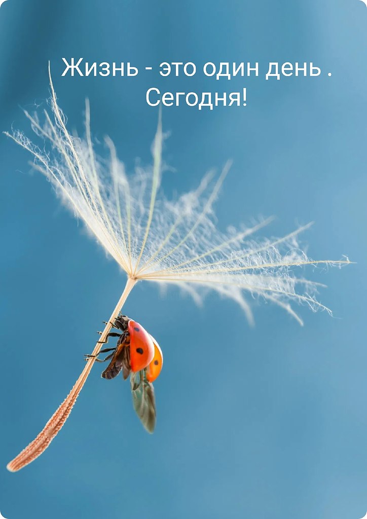 �������� ������� - 5 ���� 2026 � 08:28