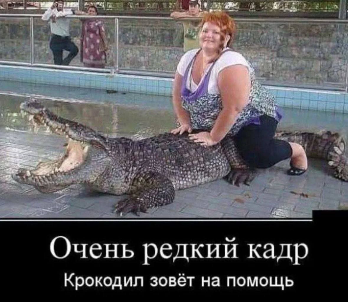   - 17  2025  16:41