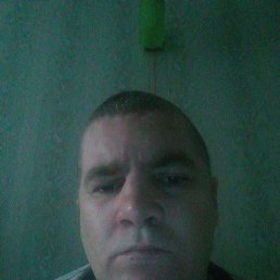 �����, 40 ���, ���