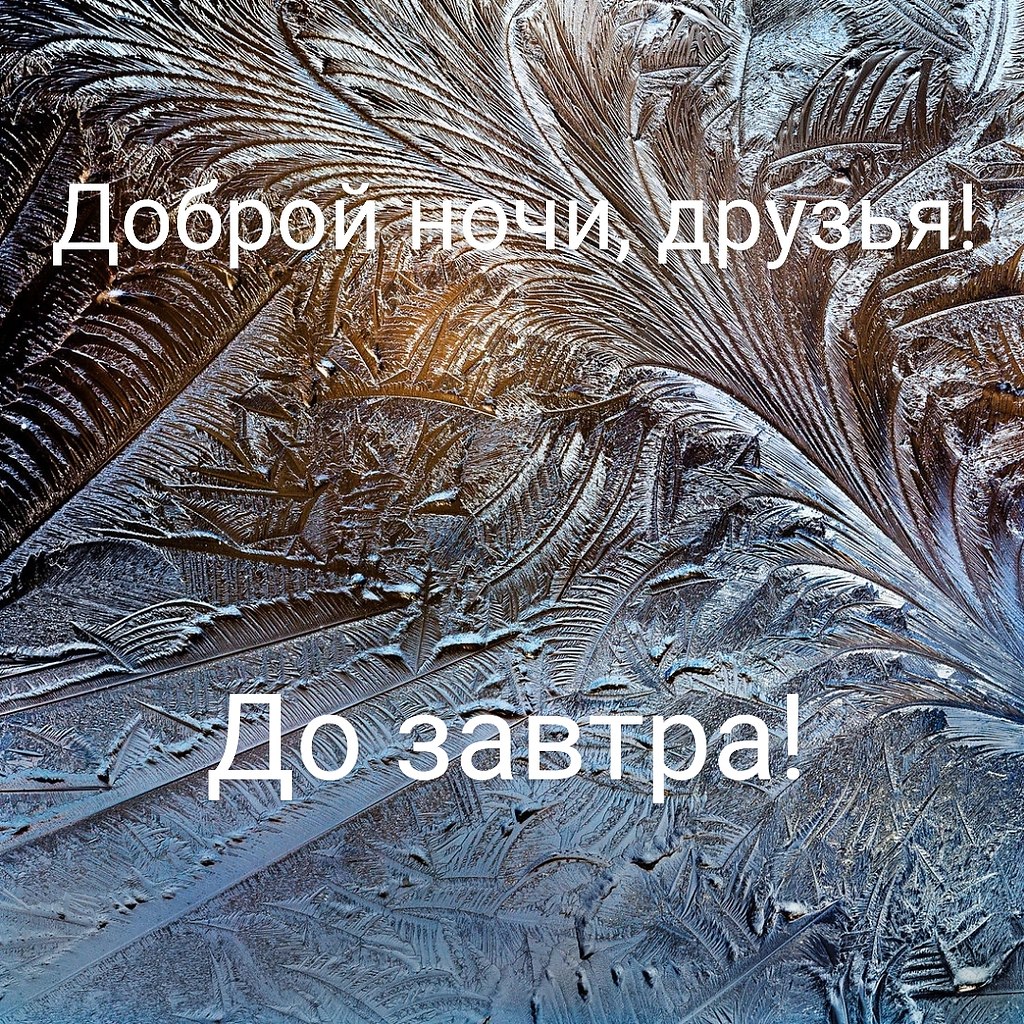   ,    . - 15  2024  21:36