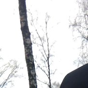 �������, 50 ���, ������