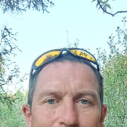 , 45, 