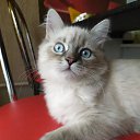 ���� ������, ������ - ��������� 13 ������ 2025 � ������ ������ ��������