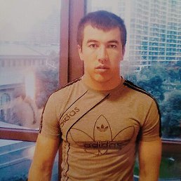 , 37, 