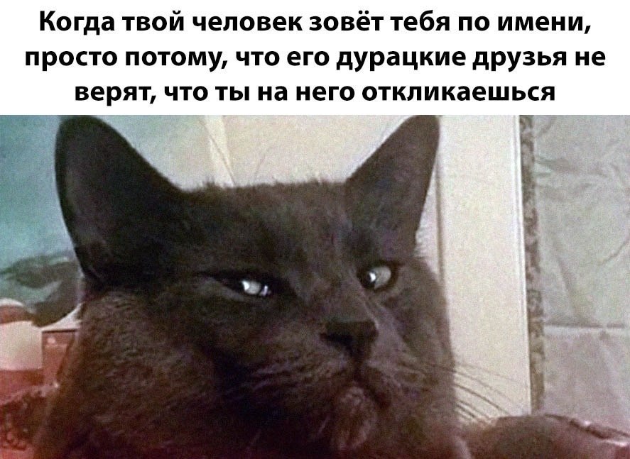    - 18  2025  04:19