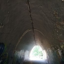 ���, ������, 48 ���