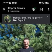 , 61 , 
