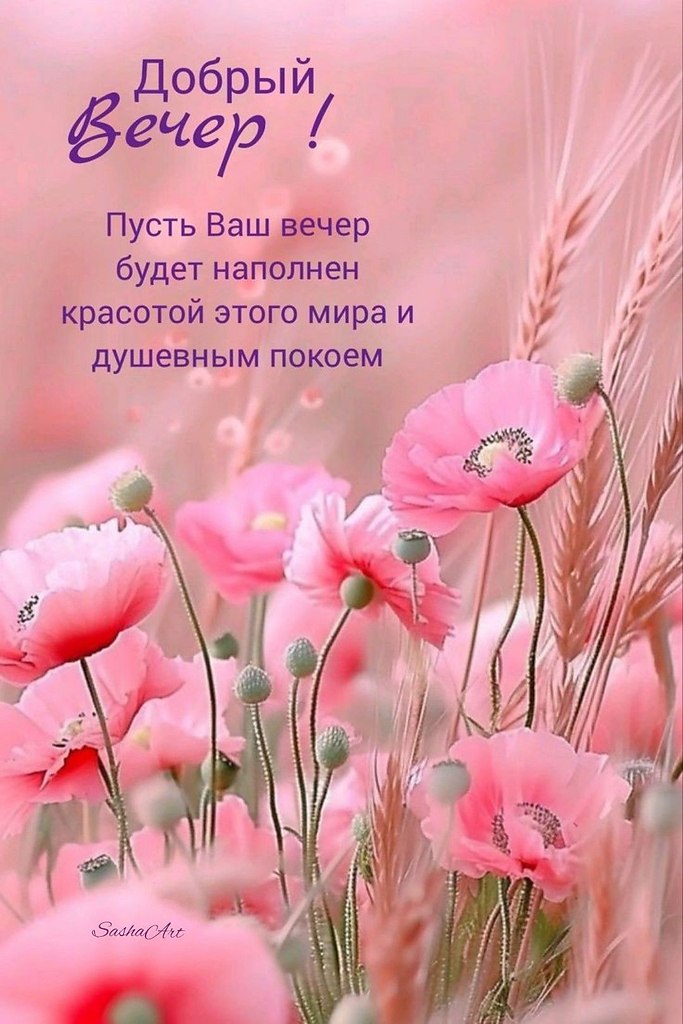 �������� ������ - 28 ���� 2026 � 17:26