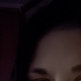 �����, ������, 41 ���