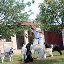 ���� ����, ������, 45 ��� - ��������� 24 ������ 2026