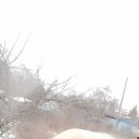 ���� �������, ��������, 50 ��� - ��������� 6 ������ 2026 � ������ ���� ����������