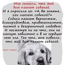 ���� ����, ������ �����, 51 ��� - ��������� 18 ���� 2024 � ������ �� ���... � ���...�