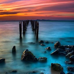 ���� ���������, ����, 51 ��� - ��������� 25 ������� 2025