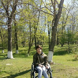 ��������, �����������, 35 ���