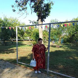 ����, ���������, 65 ���