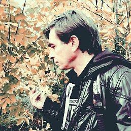 Wolf, ������, 52 ����