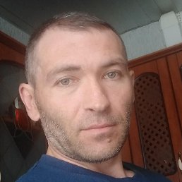 , , 44 