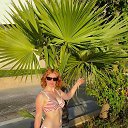 ���� ������, ����� - ��������� 20 ��� 2026 � ������ ���� ����������