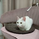 ���� ��������, ������������, 51 ��� - ��������� 9 ���� 2025 � ������ ���� ����������