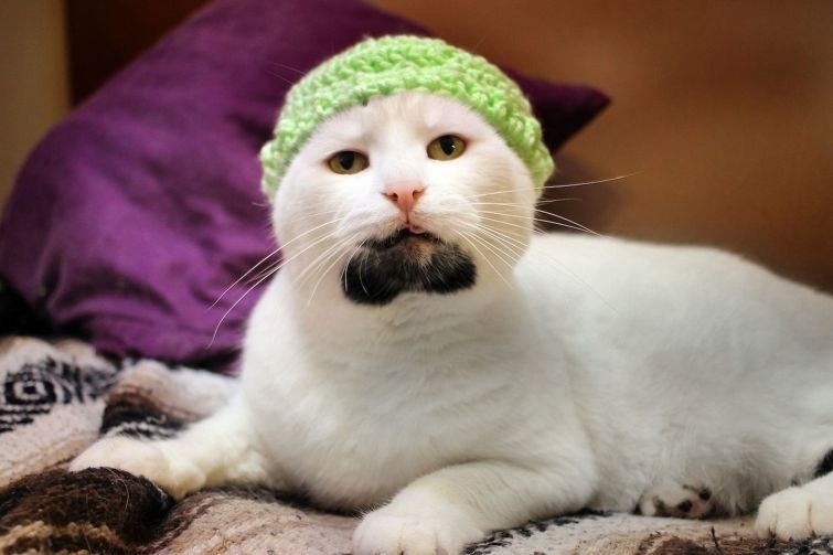    ! - 3
