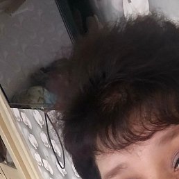 �������, ������, 54 ����