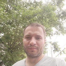 , 39, 
