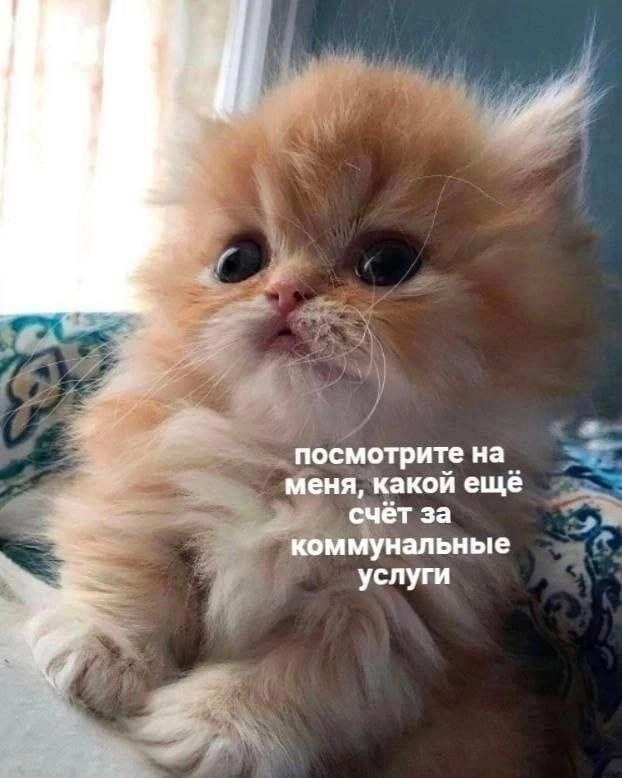 ���� - 25 ��� 2025 � 14:00
