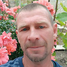 �������, ������, 41 ���