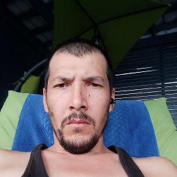 , 31, 