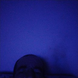 , 43, 