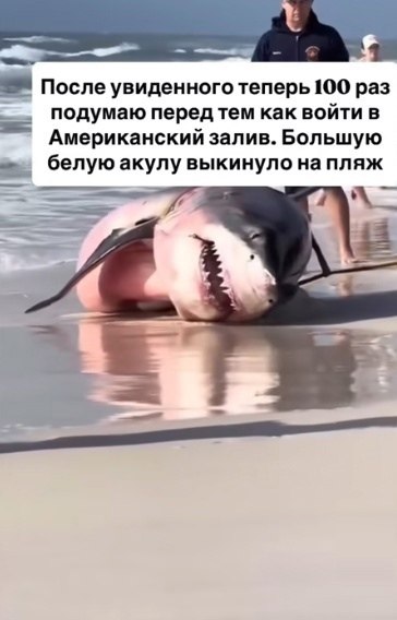          .      ...