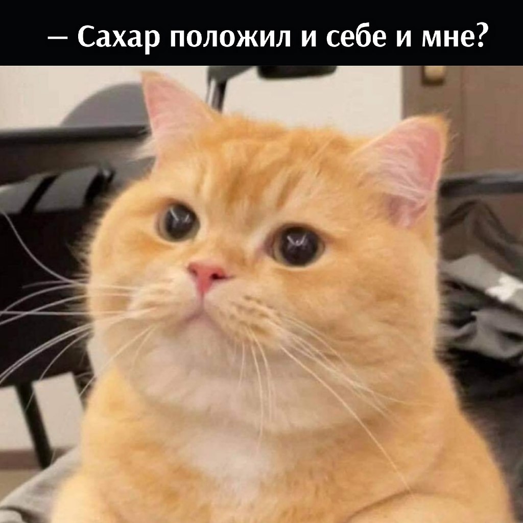       - 29  2025  13:02 - 3