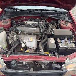 ���� �������, ������, 43 ���� - ��������� 16 ���� 2026