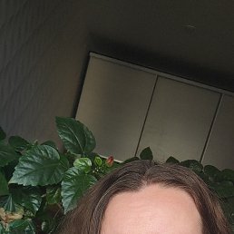 , 33, 